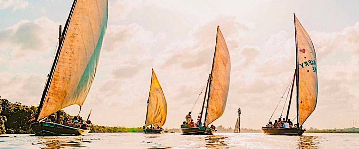 course de bateaux traditionnels dhow au large de Lamu au Kenya